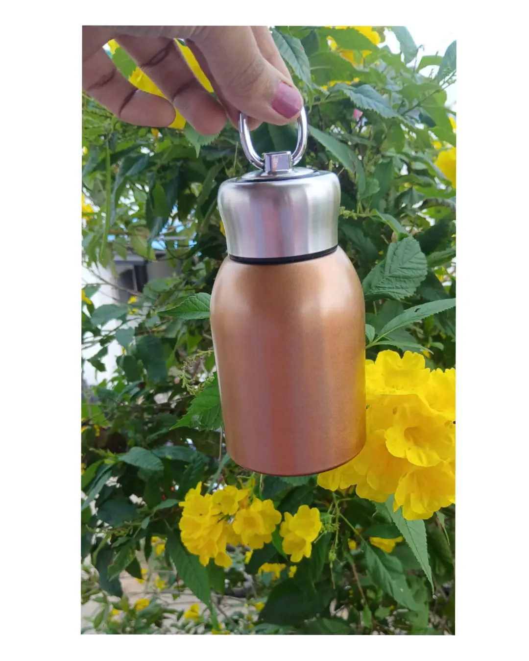  Zee Thermos
