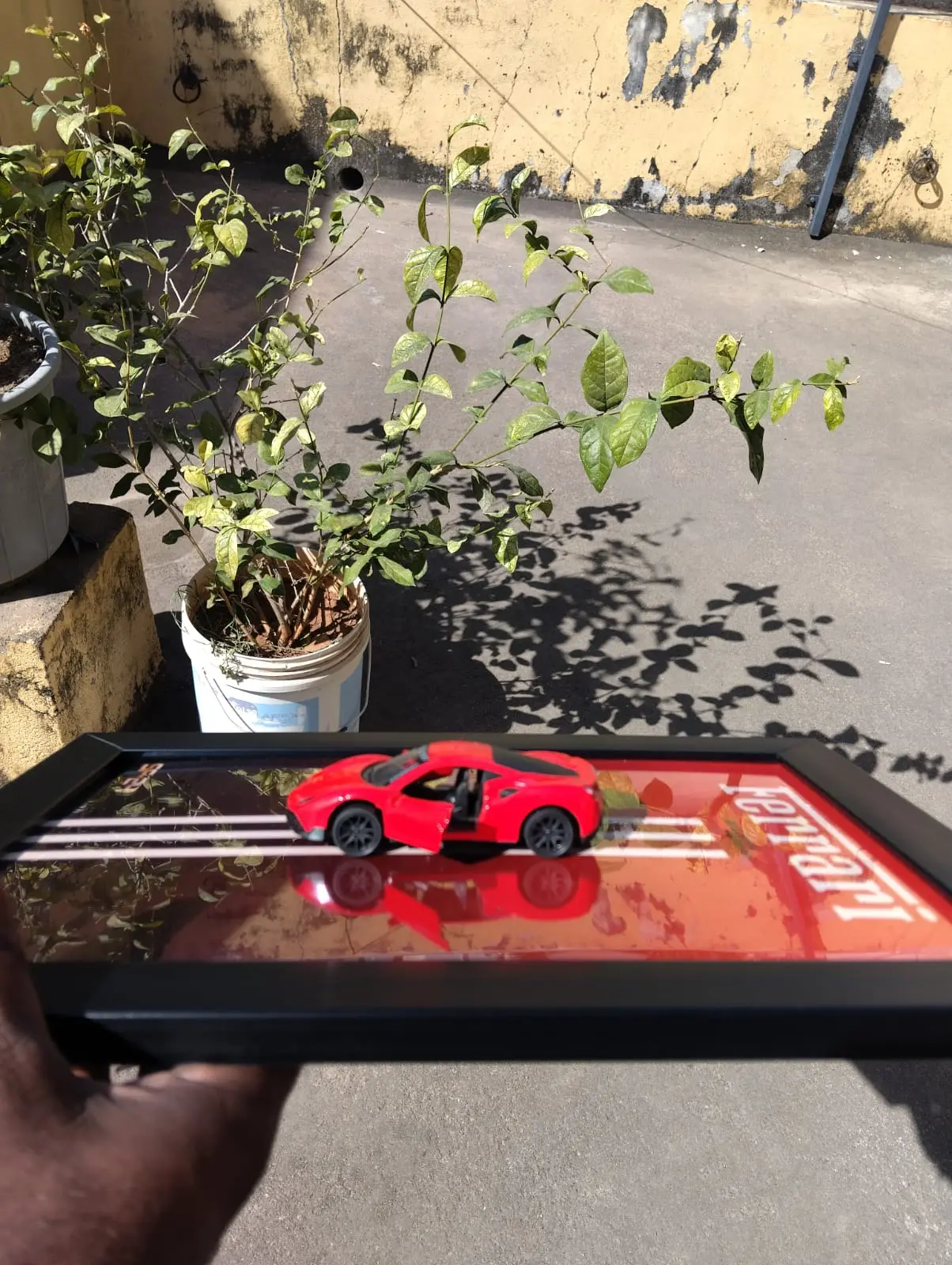 FERRARI CUSTOMIZED FRAMES