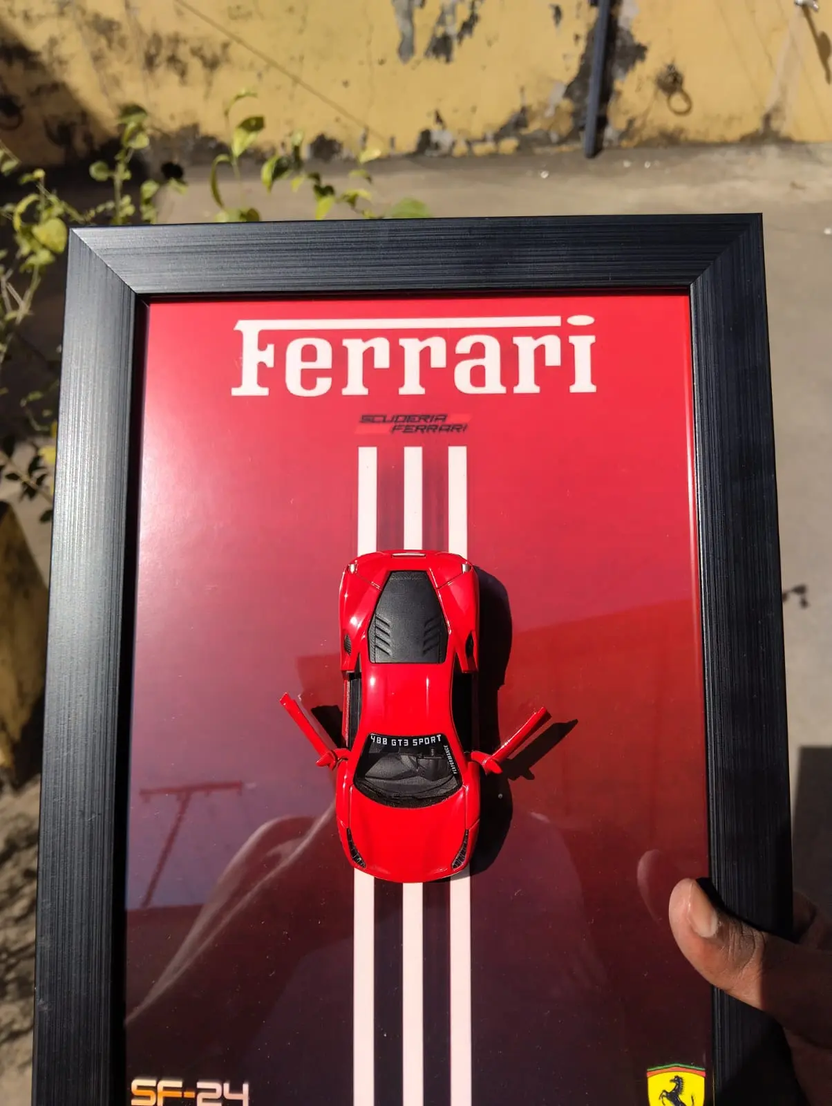 FERRARI CUSTOMIZED FRAMES