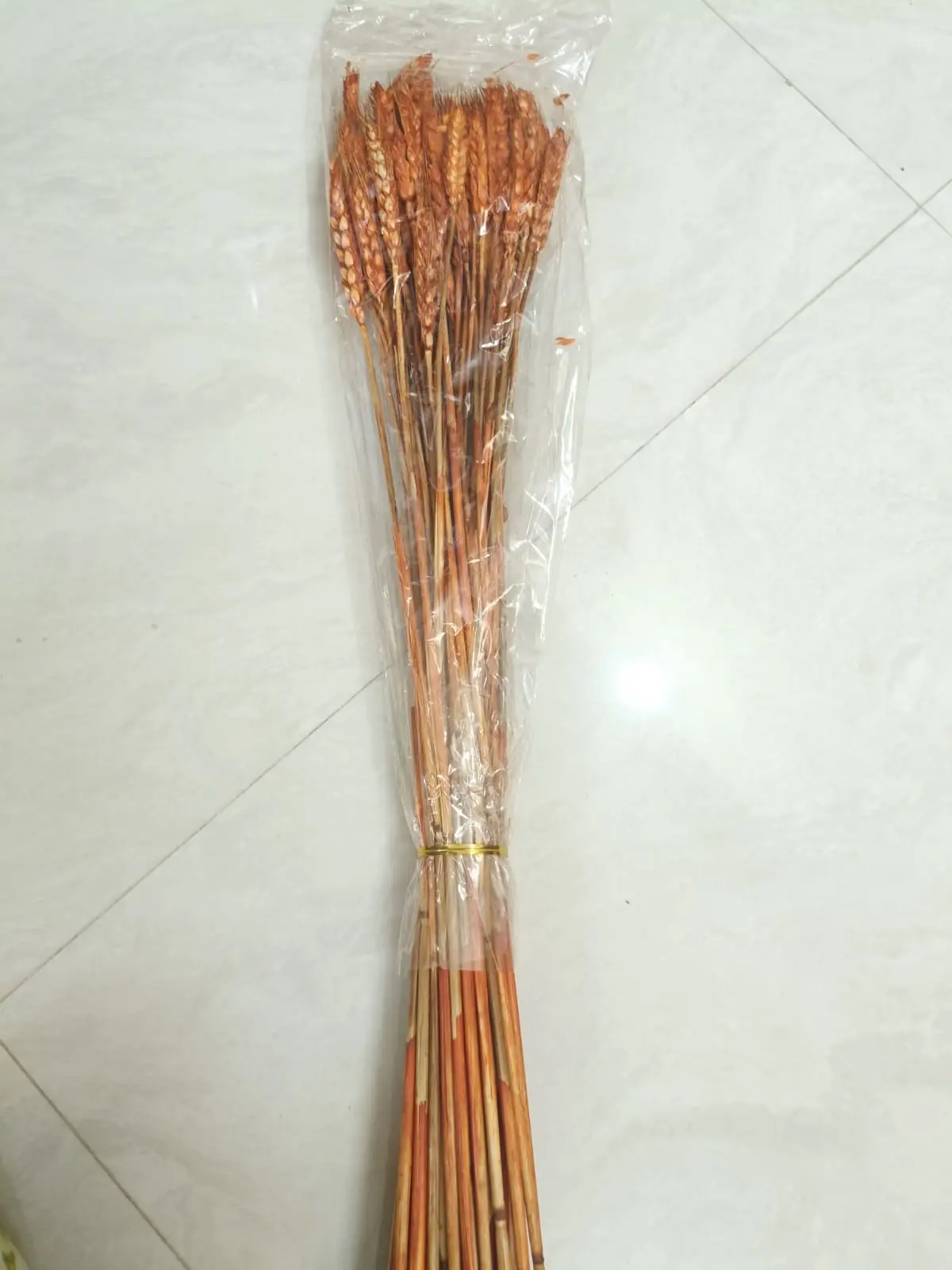 Natural - Grass -  Set of 1 Punch - Mixed Varitions