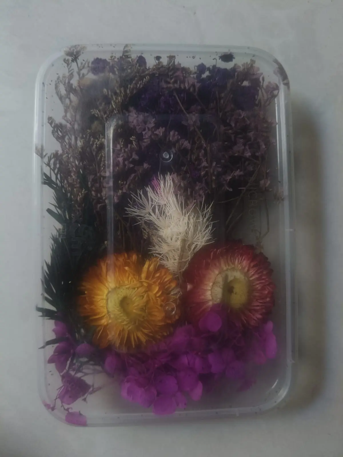 Dried - Flower - Box - Set of 1 Box
