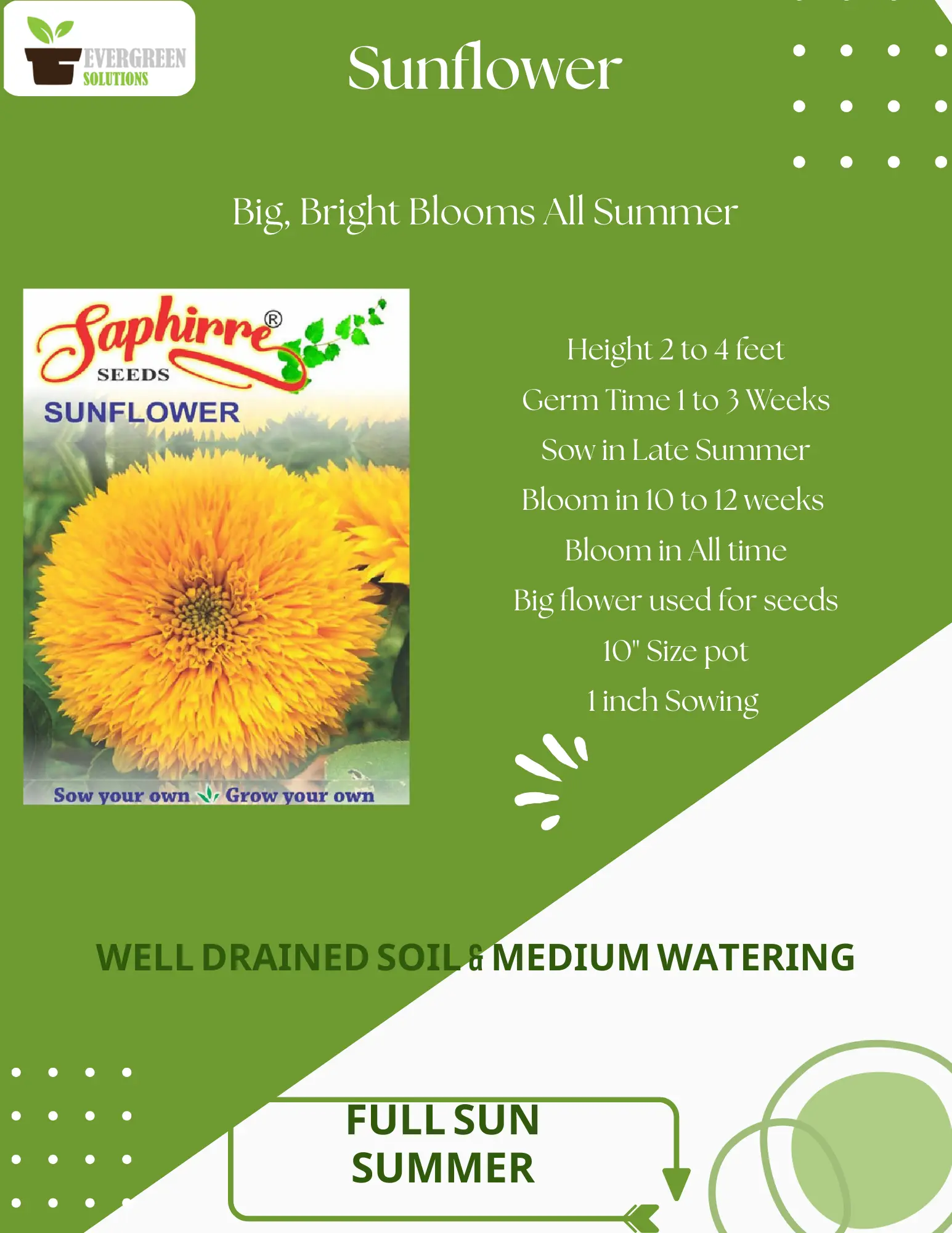 SUNFLOWER TEDDY BEAR 