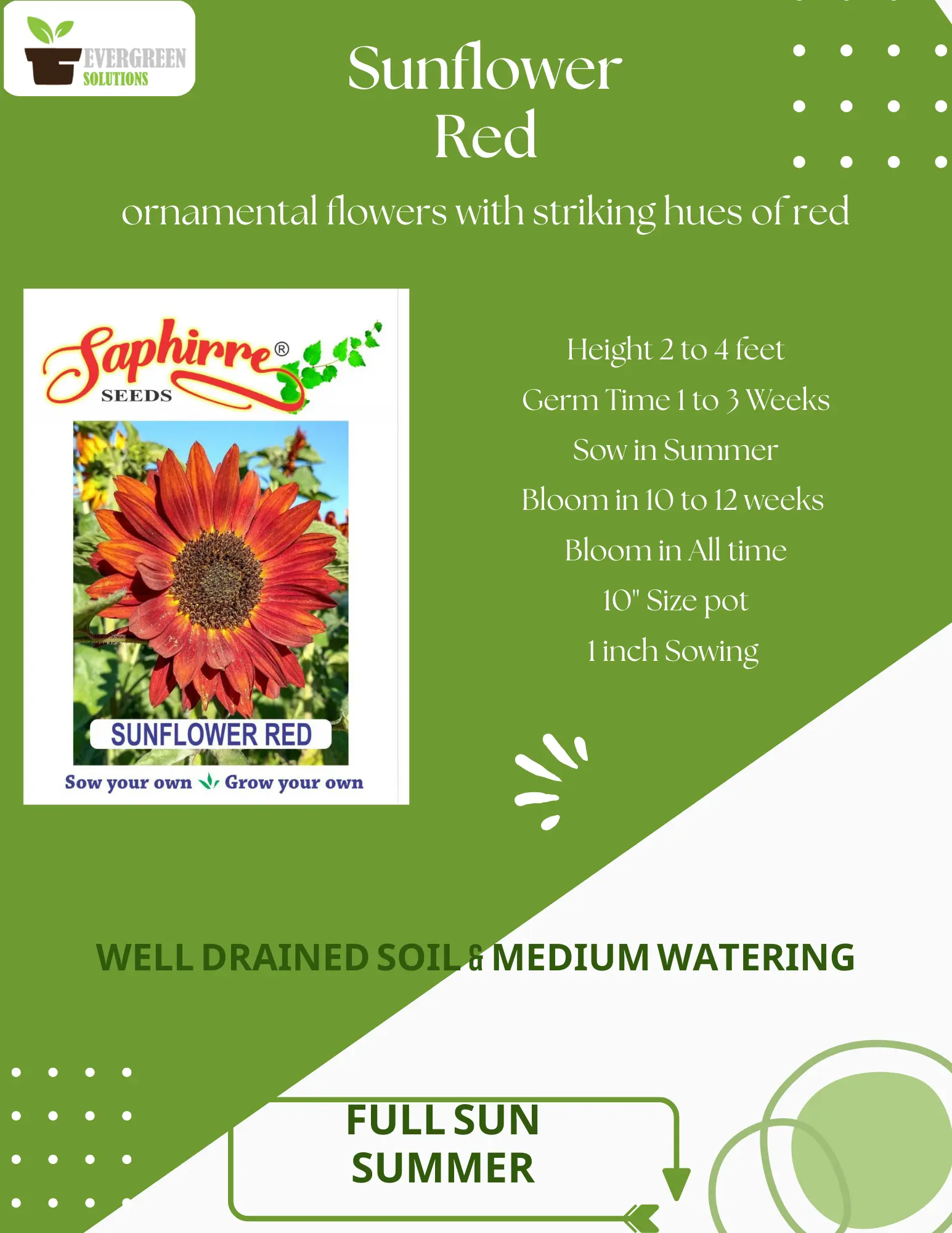 SUNFLOWER RED